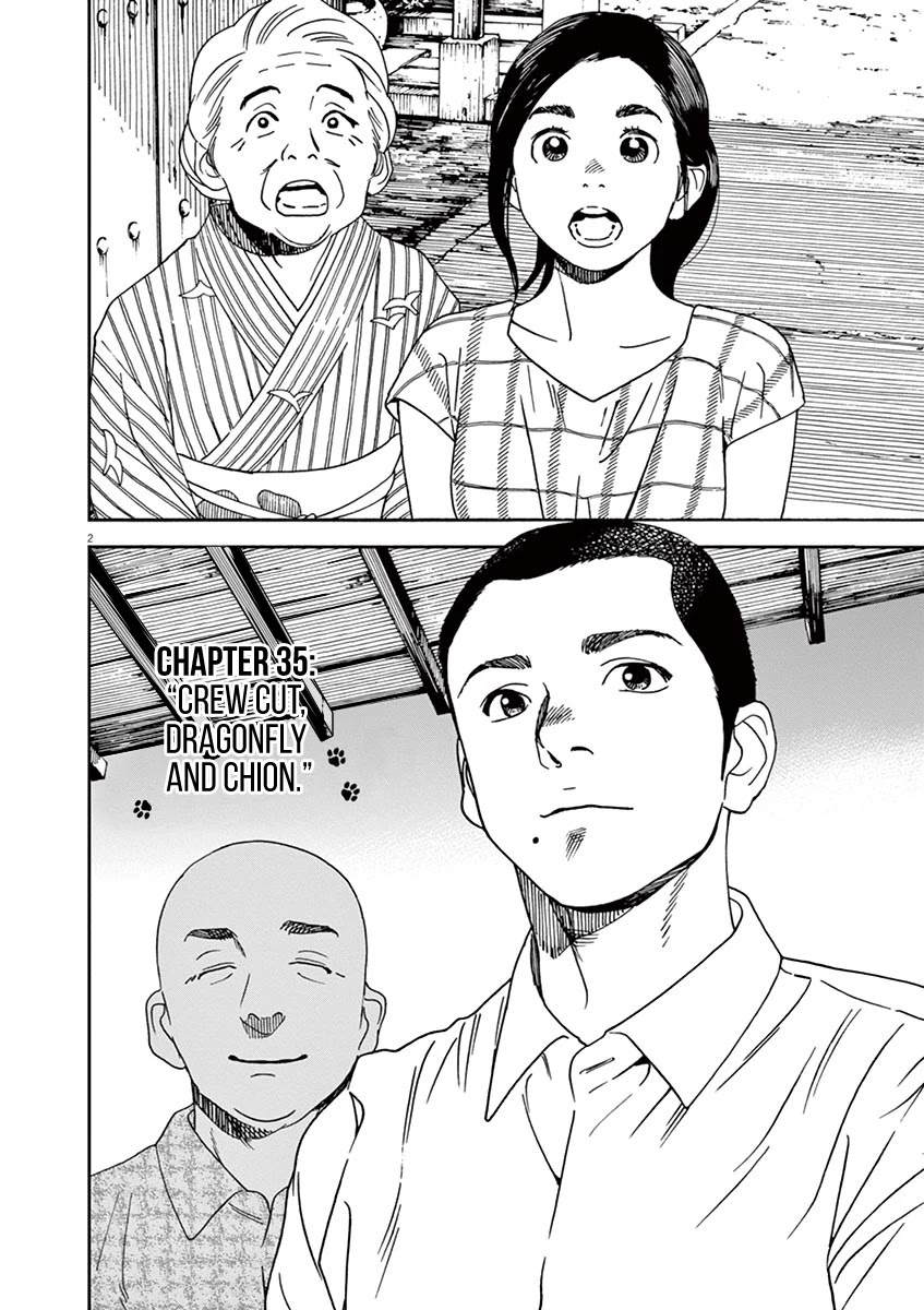 Neko no Otera no Chion-san Chapter 35 page 2 - Chapter 35: Crew Cut, Dragonfly and Chion.
