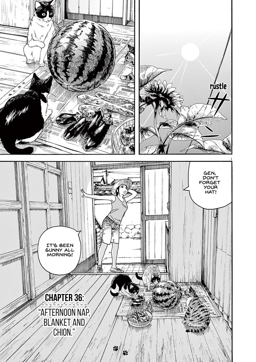 Neko no Otera no Chion-san Chapter 36 page 5 - Chapter 36: Afternoon Nap, Blanket and Chion.