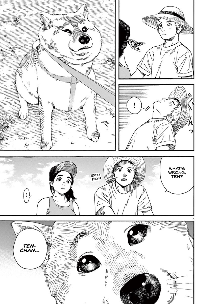 Neko no Otera no Chion-san Chapter 36 page 8 - Chapter 36: Afternoon Nap, Blanket and Chion.