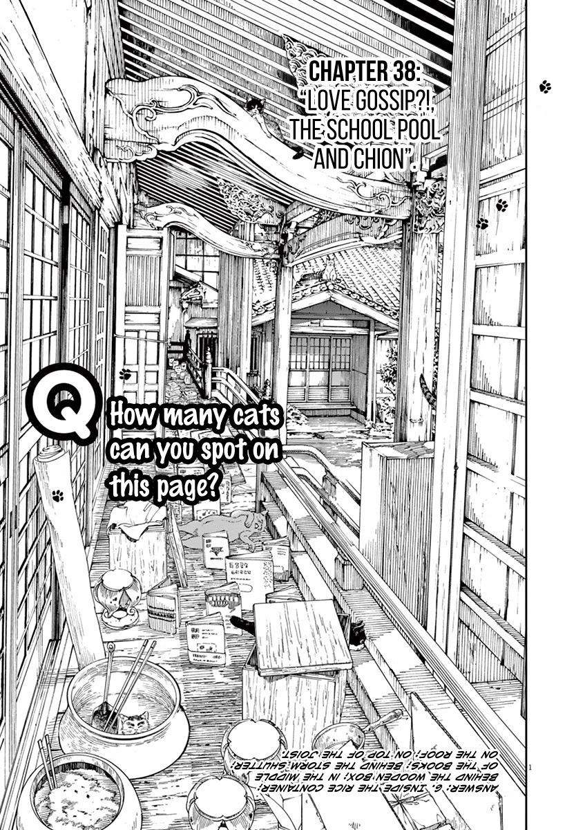 Neko no Otera no Chion-san Chapter 38 page 1 - Chapter 38: Love Gossip?!, The School Pool and Chion.
