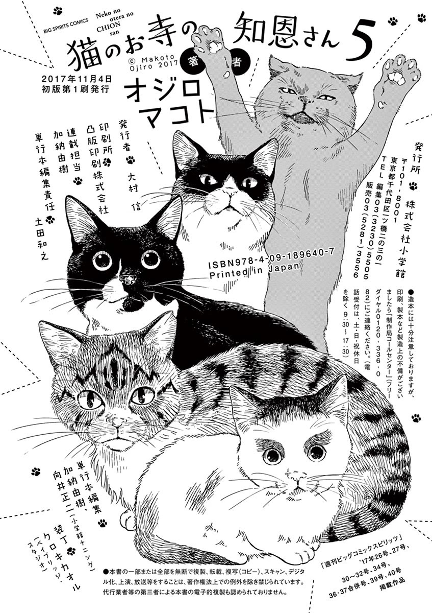 Neko no Otera no Chion-san Chapter 44 page 20 - Chapter 44: The Fireworks Reflected by the Cat's Watchful Stare, and Chion