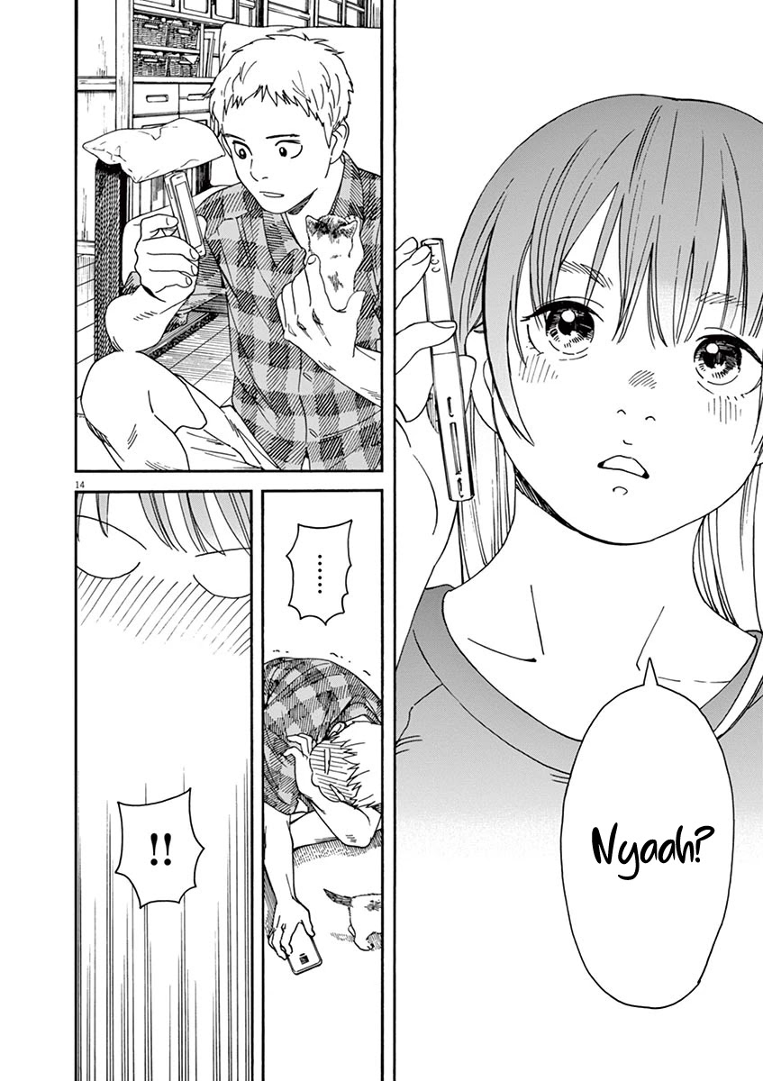 Neko no Otera no Chion-san Chapter 47 page 13 - Chapter 47: The Straw and Novice Chion
