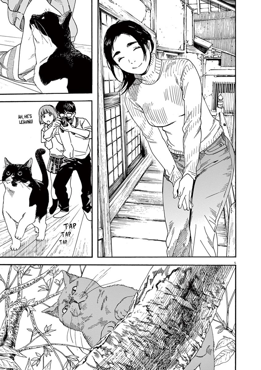 Neko no Otera no Chion-san Chapter 49 page 5 - Chapter 49: Hazy Hiruma and Chion