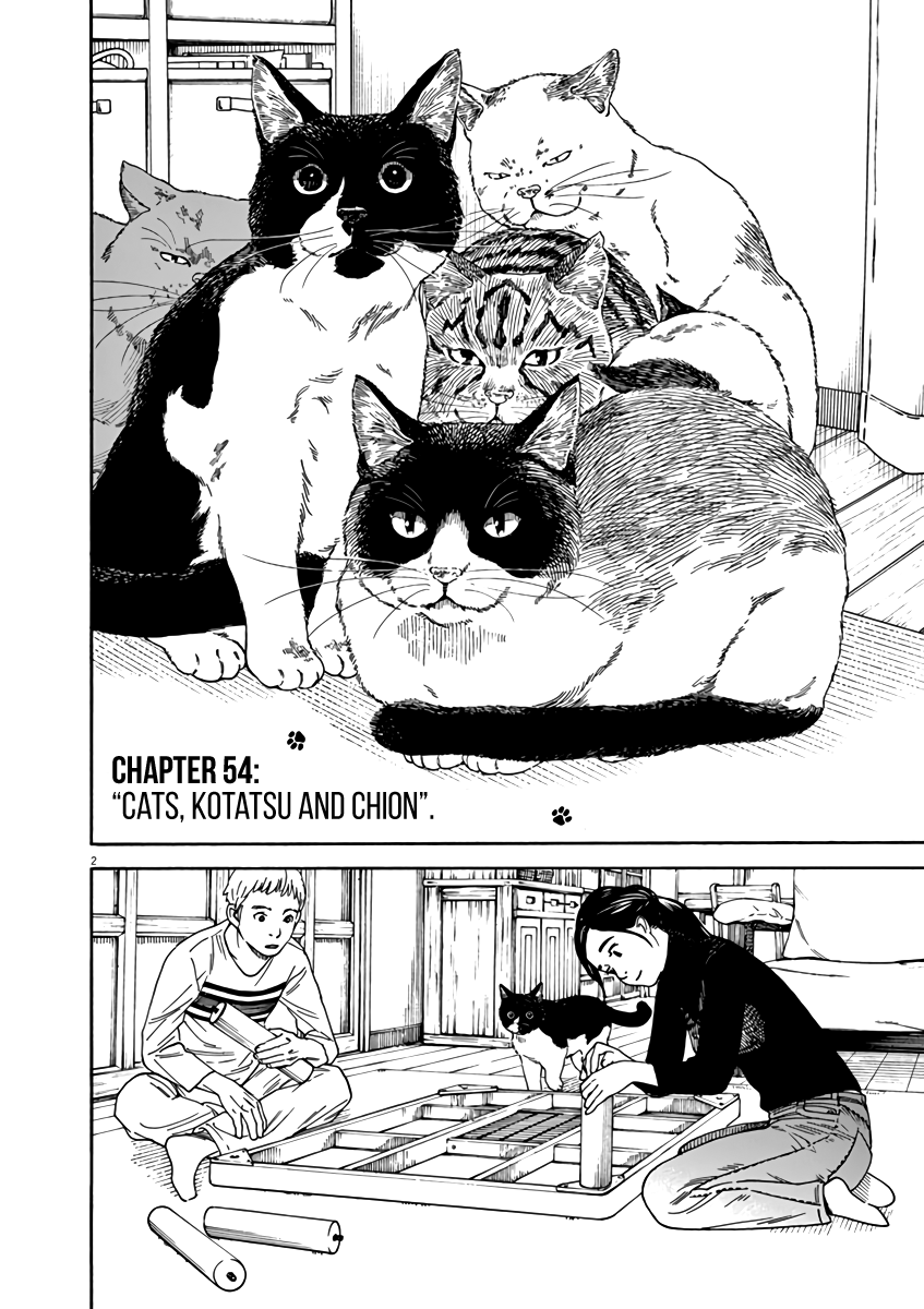 Neko no Otera no Chion-san Chapter 54 page 6 - Chapter 54: Cats, Kotatsu and Chion