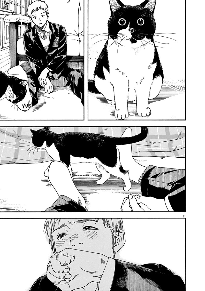 Neko no Otera no Chion-san Chapter 56 page 11 - Chapter 56: Going in Circles, Grandma and Chion