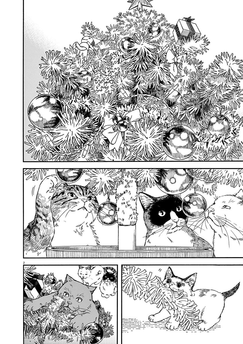Neko no Otera no Chion-san Chapter 59 page 2 - Chapter 59: Christmas Tree and Santa Chion