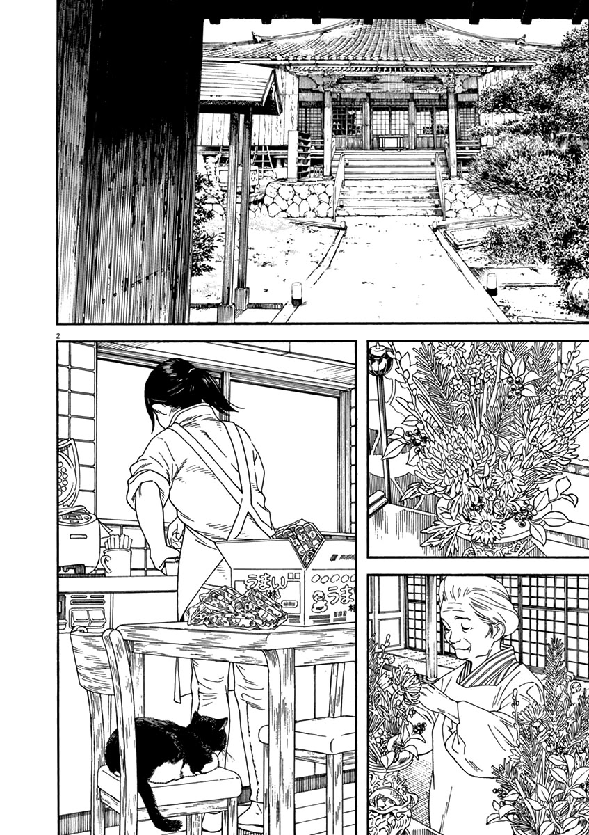 Neko no Otera no Chion-san Chapter 61 page 2 - Chapter 61: New Year's Eve, First Sunrise and Chion