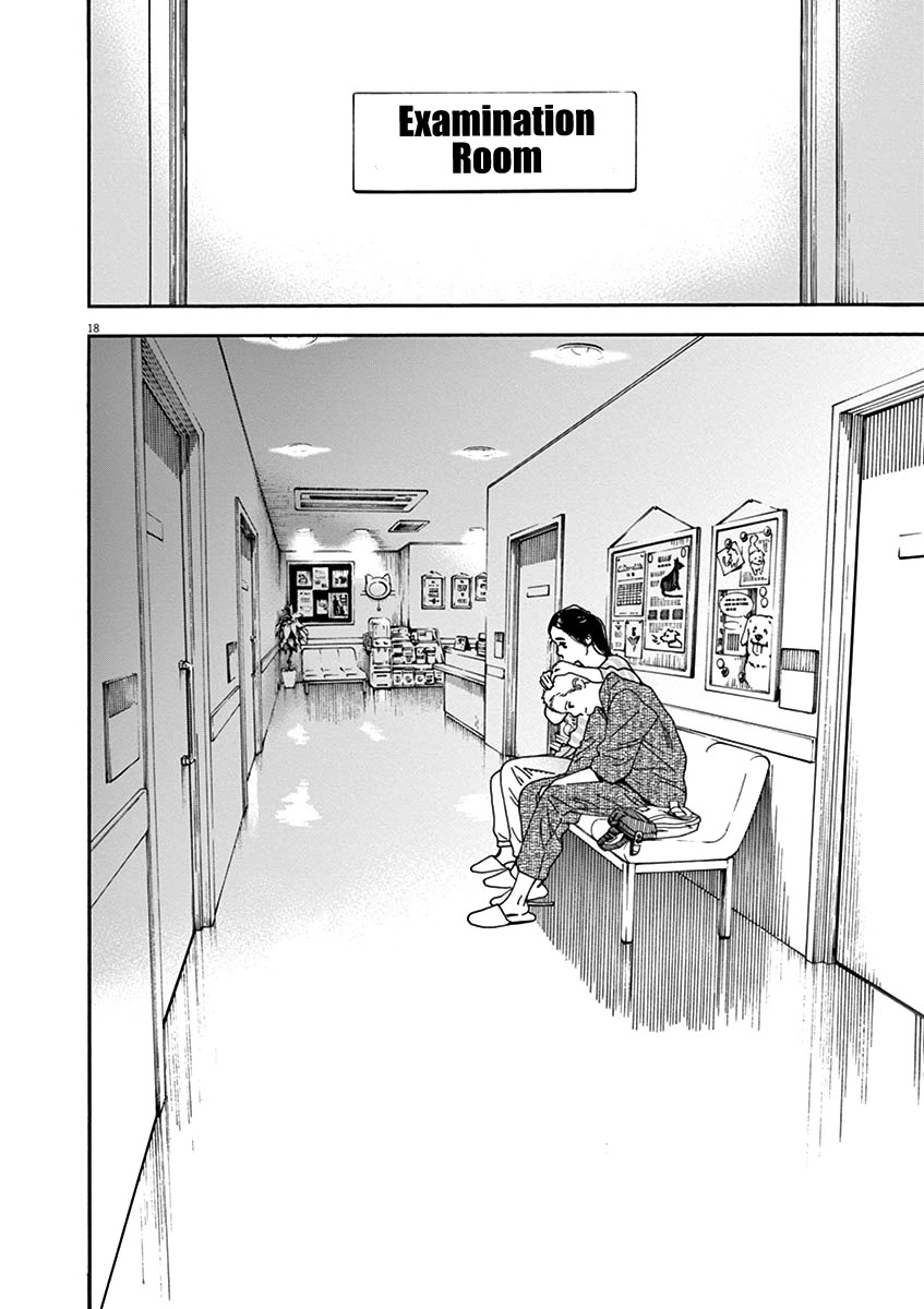 Neko no Otera no Chion-san Chapter 75 page 19 - Chapter 75: Bean, Bakkidon and Chion