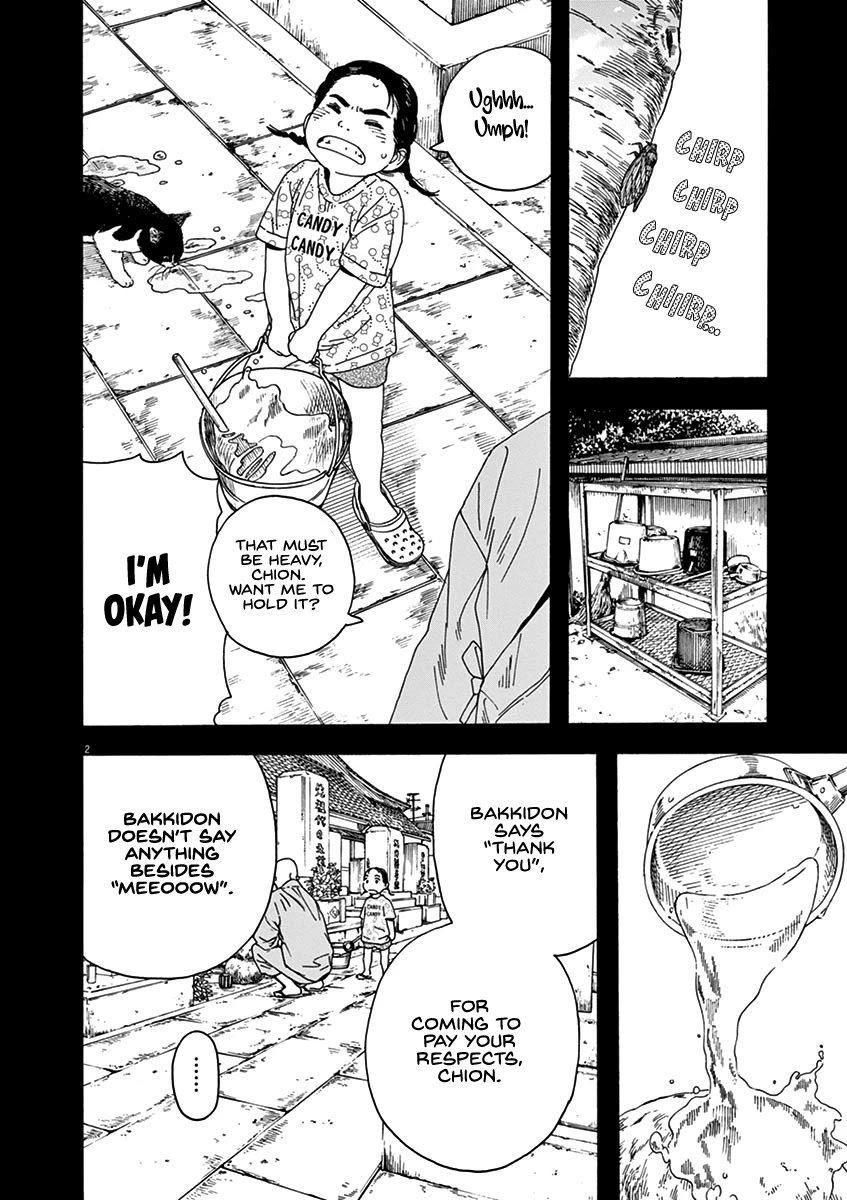 Neko no Otera no Chion-san Chapter 76 page 2 - Chapter 76: Morning Glow, Two Butts and Chion