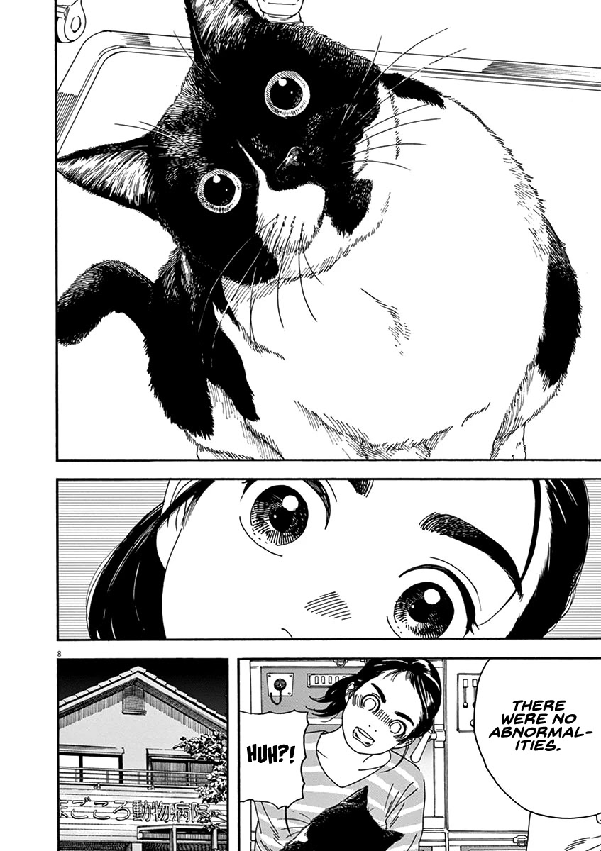 Neko no Otera no Chion-san Chapter 76 page 8 - Chapter 76: Morning Glow, Two Butts and Chion