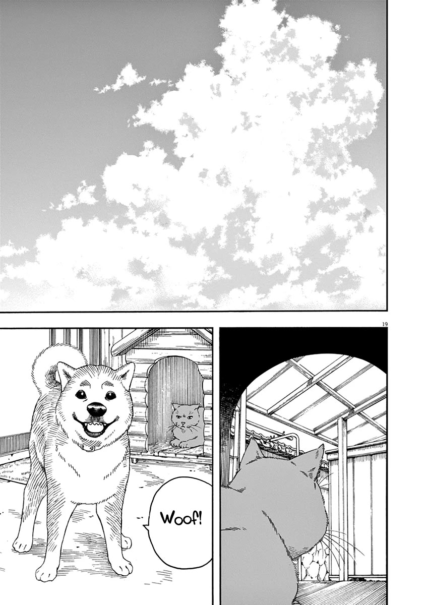 Neko no Otera no Chion-san Chapter 79 page 19 - Chapter 79: Cats, Gen and Chion-san [END]