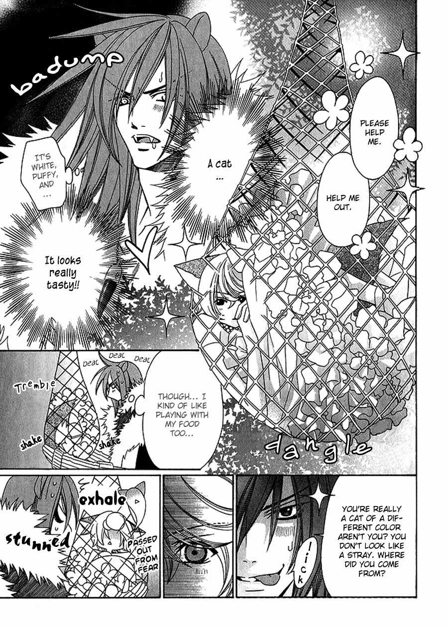 Neko no Yomeiri Chapter 1 page 6 - Chapter 1