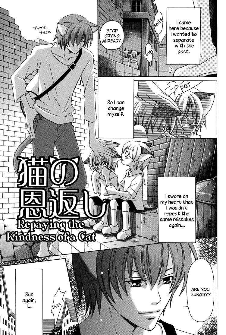 Neko no Yomeiri Chapter 3 page 1 - Chapter 3