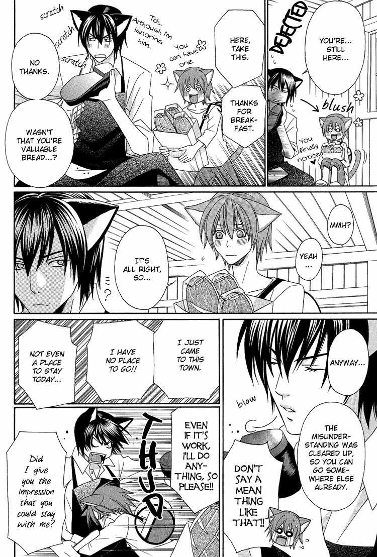 Neko no Yomeiri Chapter 3 page 16 - Chapter 3
