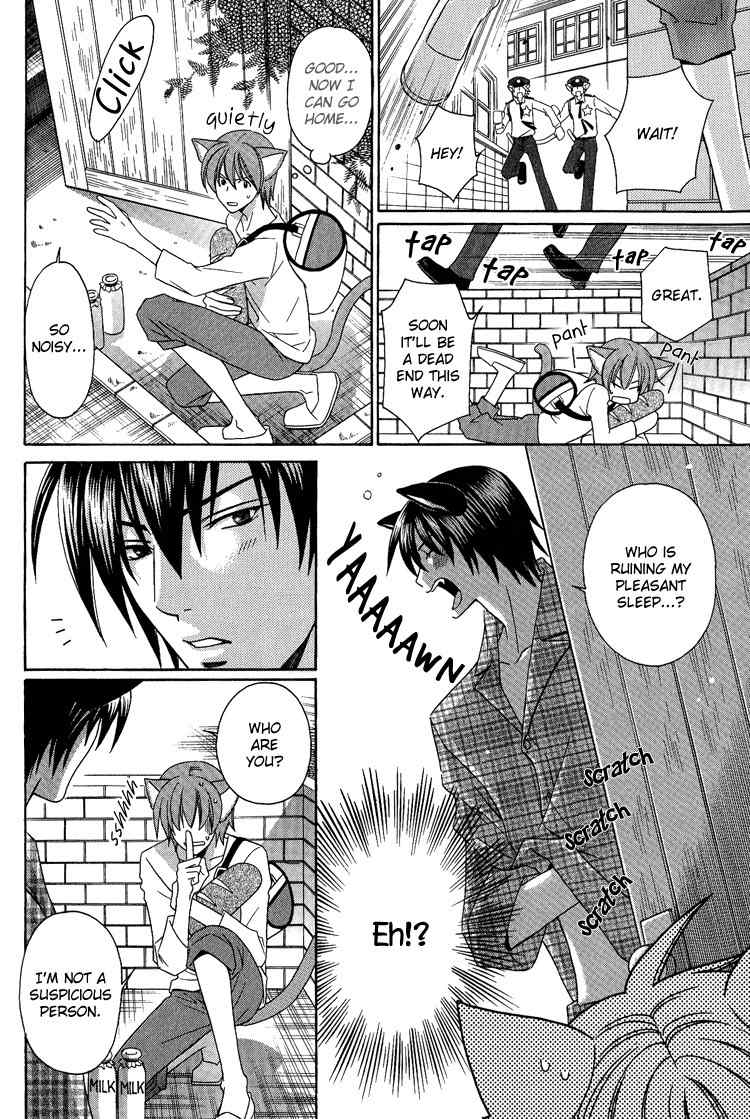 Neko no Yomeiri Chapter 3 page 2 - Chapter 3
