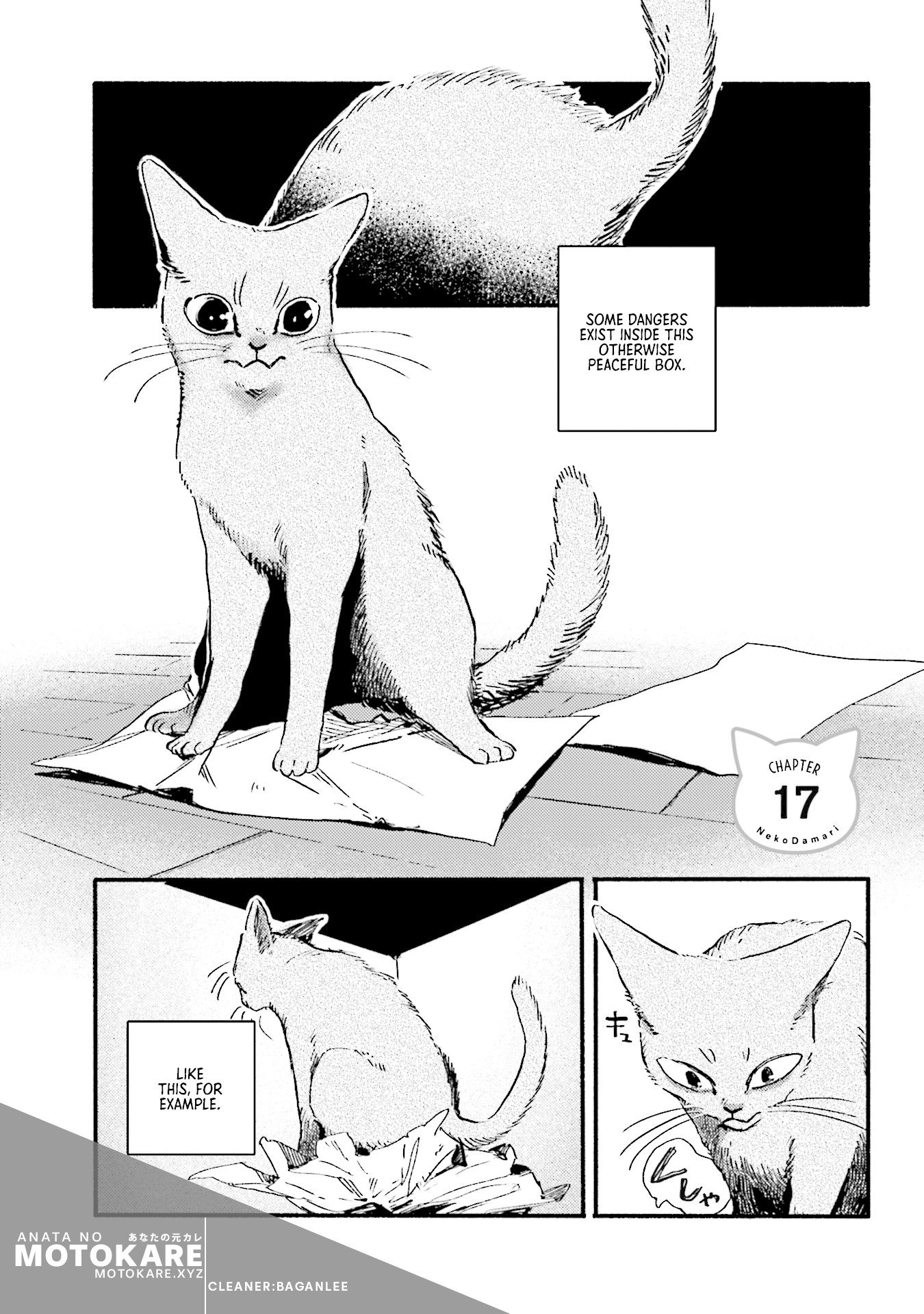 Nekodamari Chapter 17 page 1 - Chapter 17