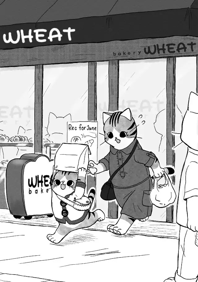 Nekodomo Chapter 0.5 page 4 - Chapter 0.5: Today is Omurice
