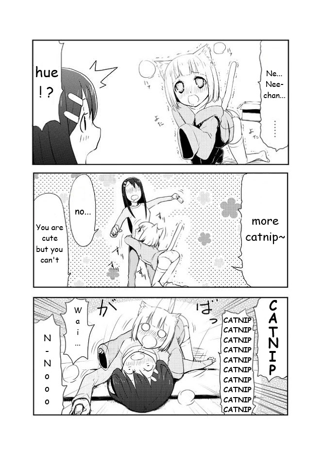 Nekogurui Minako-san Chapter 5 page 1 - Chapter 5