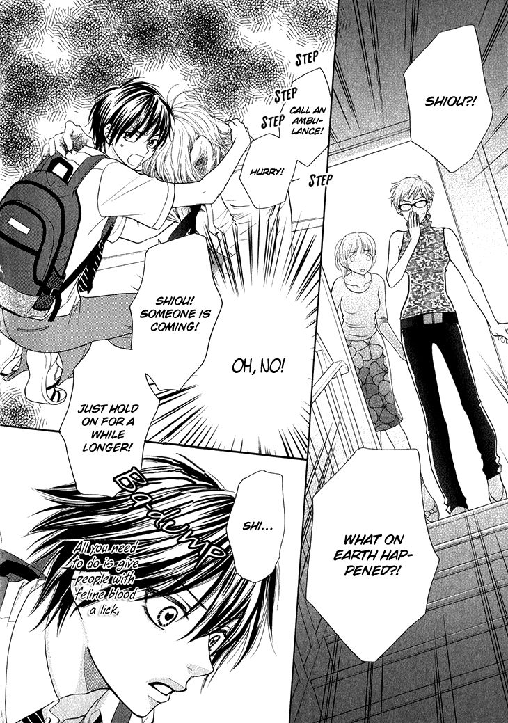 Nekoka Danshi no Shitsukekata Chapter 2 page 35 - Chapter 2