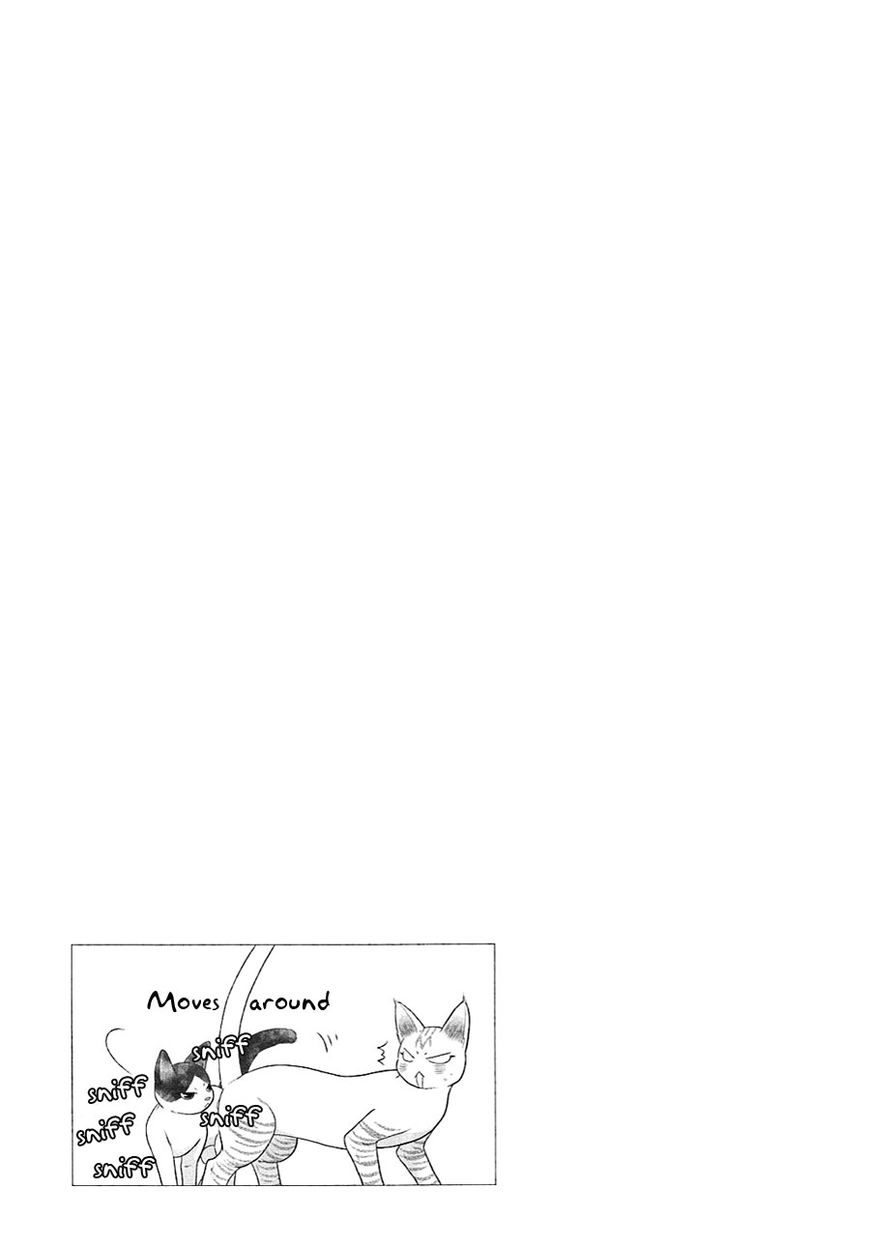 Nekoka Danshi no Shitsukekata Chapter 21.5 page 8 - Chapter 21.5