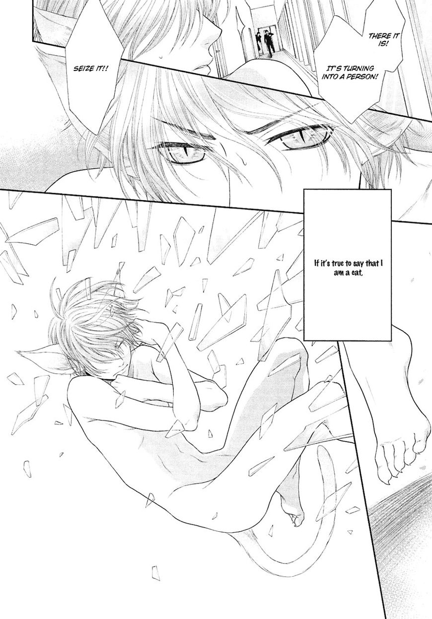 Nekoka Danshi no Shitsukekata Chapter 21 page 28 - Chapter 21