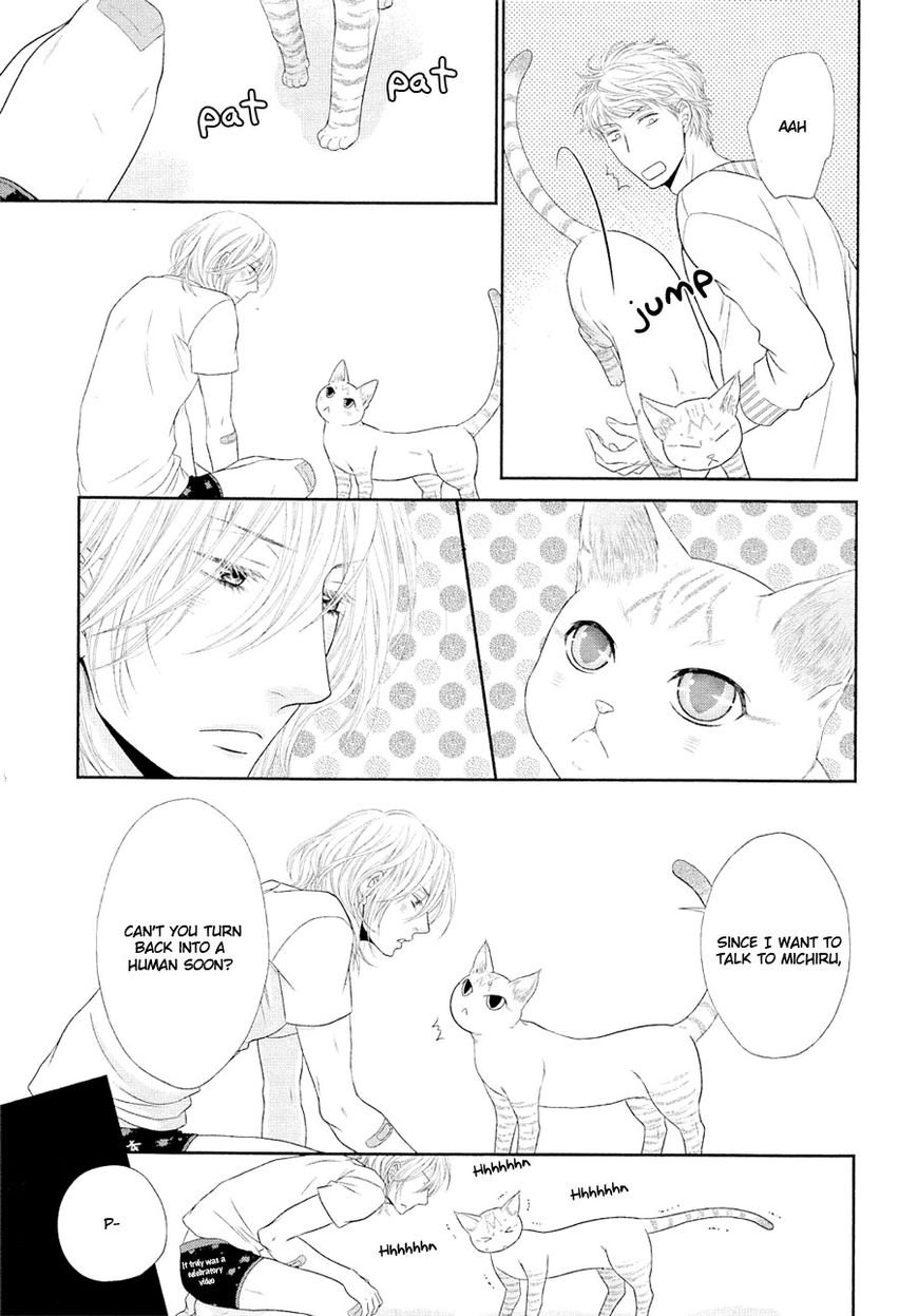 Nekoka Danshi no Shitsukekata Chapter 21 page 37 - Chapter 21