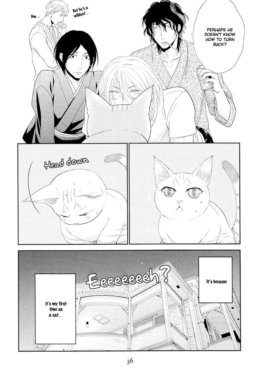 Nekoka Danshi no Shitsukekata Chapter 21 page 38 - Chapter 21