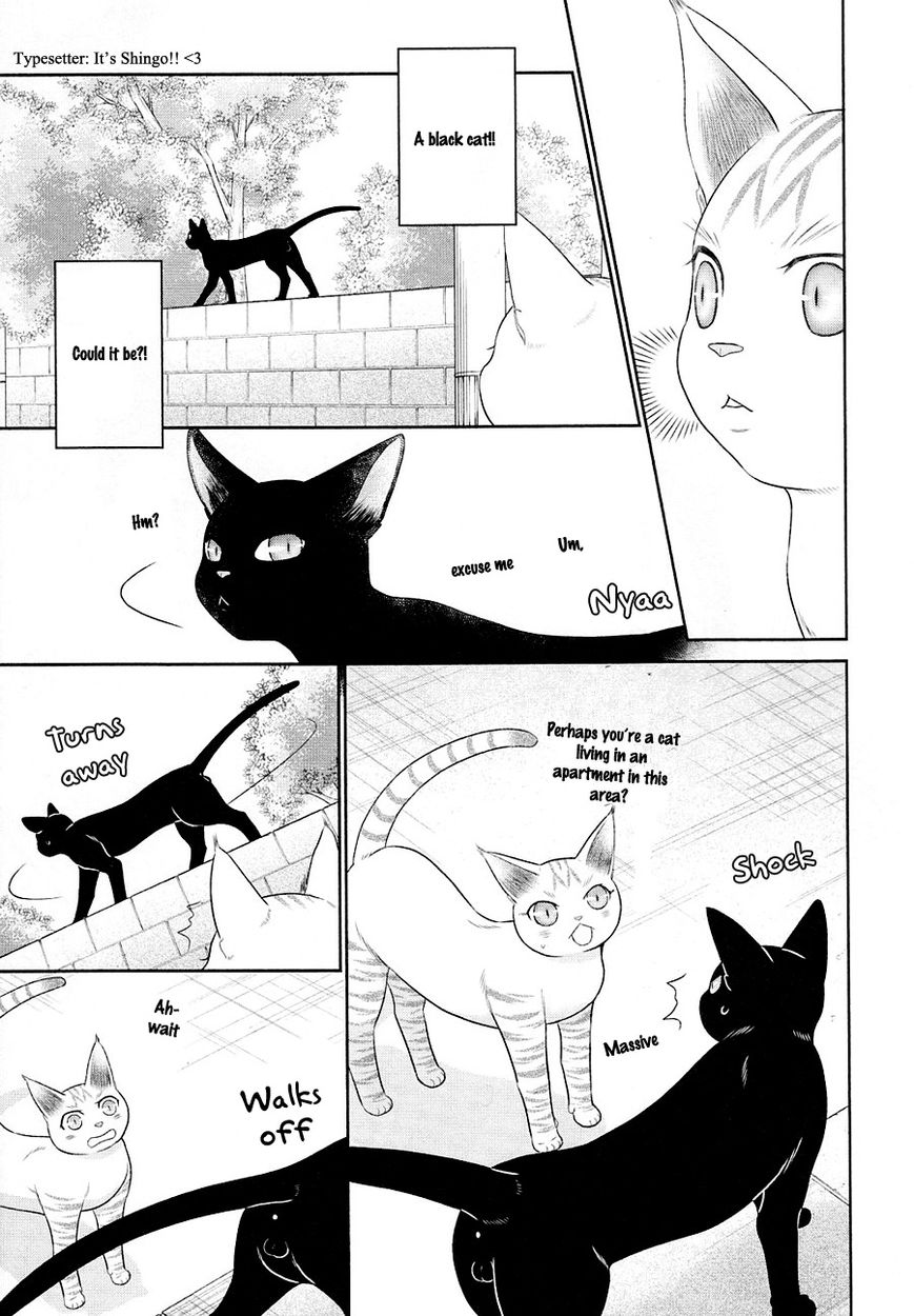 Nekoka Danshi no Shitsukekata Chapter 23 page 14 - Chapter 23