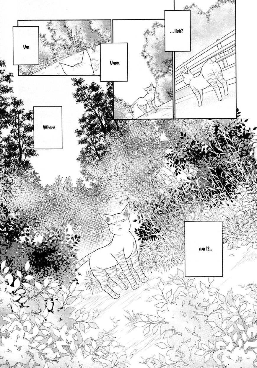 Nekoka Danshi no Shitsukekata Chapter 23 page 16 - Chapter 23