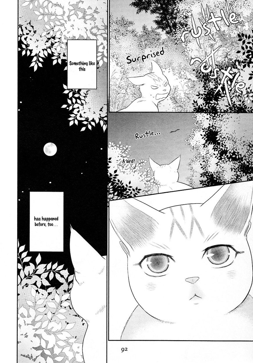 Nekoka Danshi no Shitsukekata Chapter 23 page 21 - Chapter 23