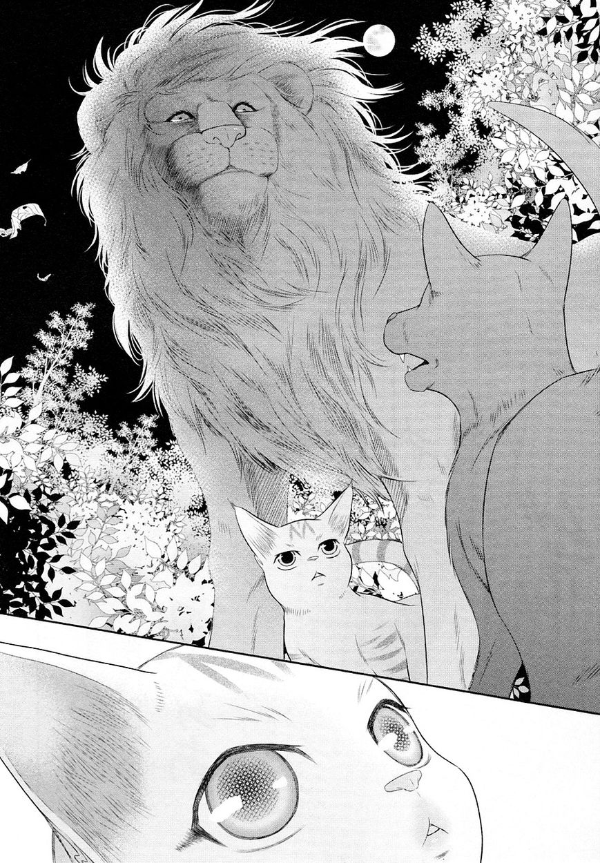 Nekoka Danshi no Shitsukekata Chapter 23 page 25 - Chapter 23