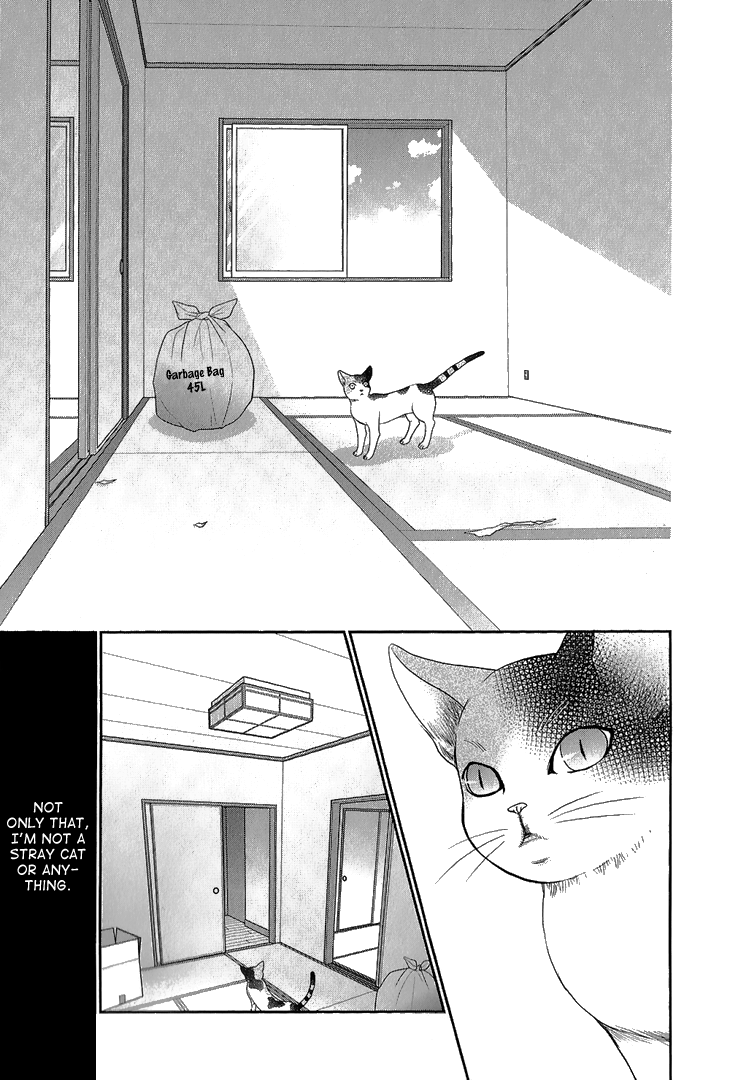 Nekoka Kareshi no Ayashikata Chapter 6 page 19 - Chapter 6