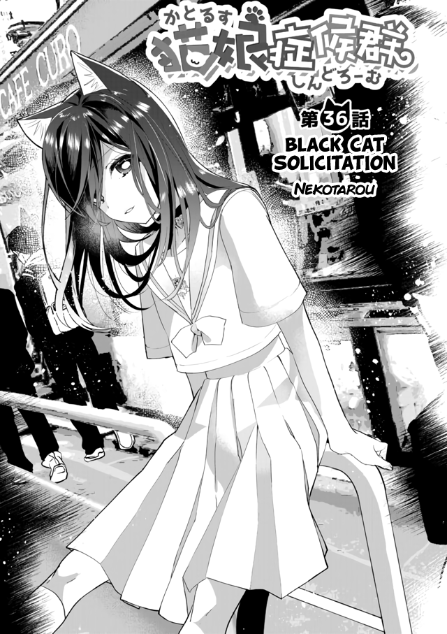 Nekomusume Shoukougun Chapter 36 page 1 - Chapter 36: Black Cat Solicitation