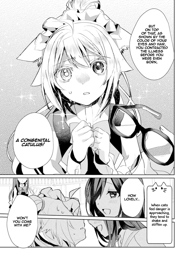 Nekomusume Shoukougun Chapter 36 page 9 - Chapter 36: Black Cat Solicitation