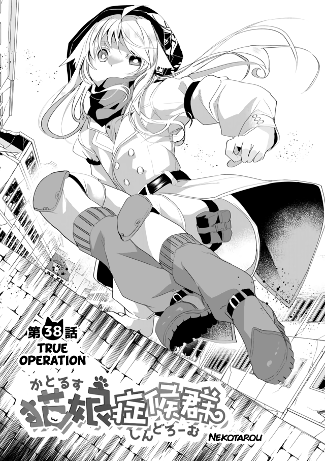 Nekomusume Shoukougun Chapter 38 page 2 - Chapter 38: True Operation