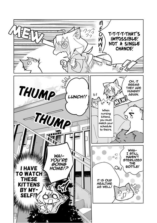 Nekomusume Shoukougun Chapter 71 page 12 - Chapter 71: Frantic Childcare