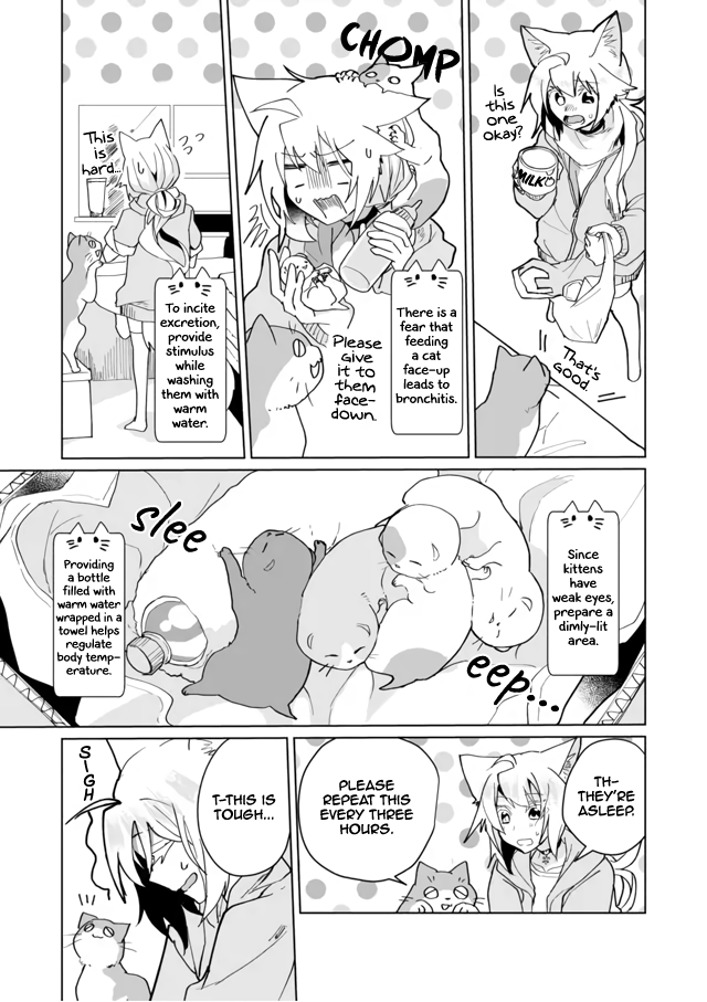 Nekomusume Shoukougun Chapter 71 page 9 - Chapter 71: Frantic Childcare