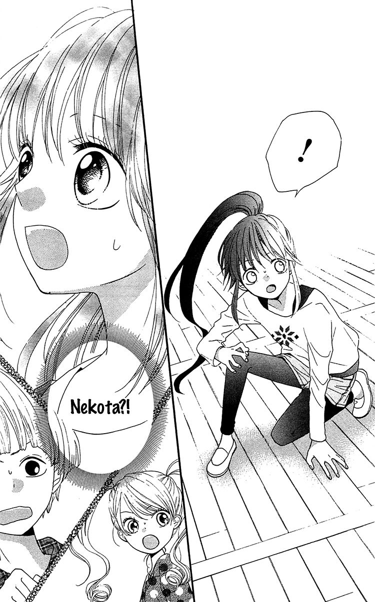 Nekota no Koto ga Ki ni Natte Shikatanai. Chapter 1 page 43 - Chapter 1
