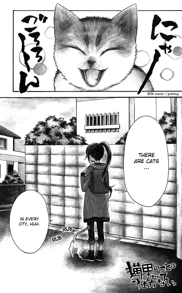 Nekota no Koto ga Ki ni Natte Shikatanai. Chapter 1 page 7 - Chapter 1