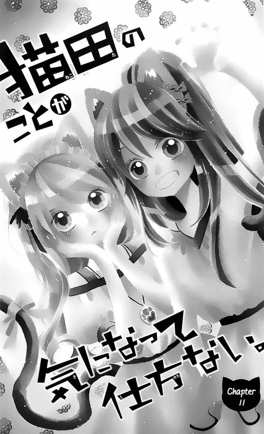 Nekota no Koto ga Ki ni Natte Shikatanai. Chapter 11 page 2 - Chapter 11