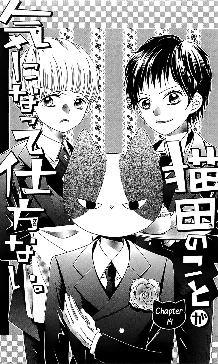 Nekota no Koto ga Ki ni Natte Shikatanai. Chapter 14 page 2 - Chapter 14