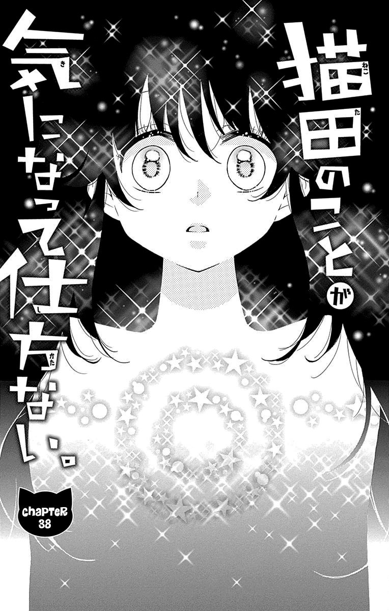 Nekota no Koto ga Ki ni Natte Shikatanai. Chapter 38 page 2 - Chapter 38