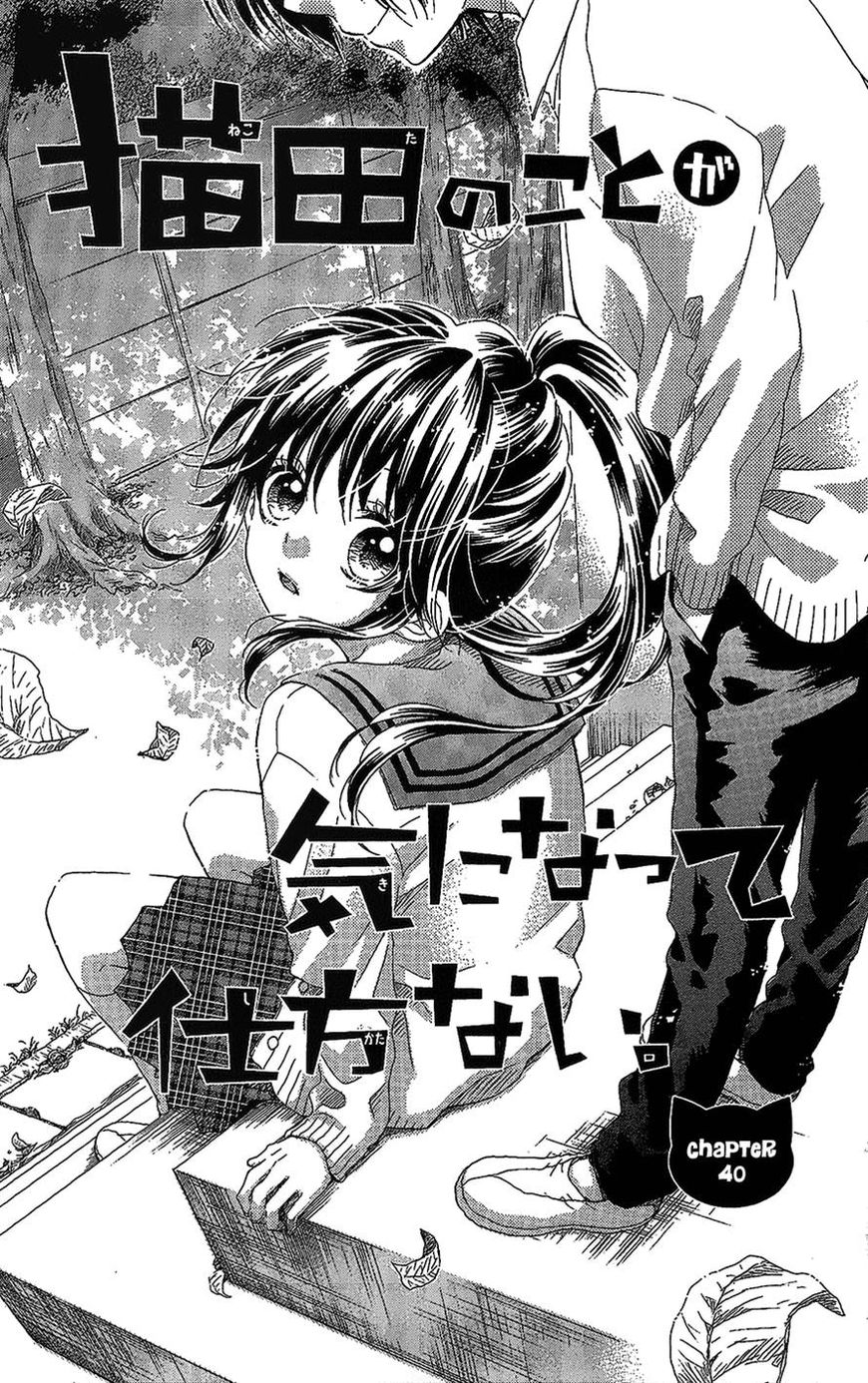 Nekota no Koto ga Ki ni Natte Shikatanai. Chapter 41 page 1 - Chapter 41