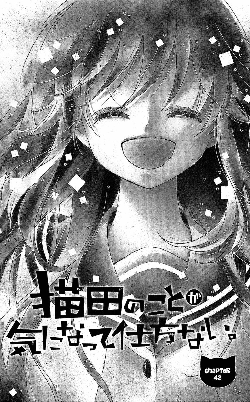 Nekota no Koto ga Ki ni Natte Shikatanai. Chapter 42 page 2 - Chapter 42