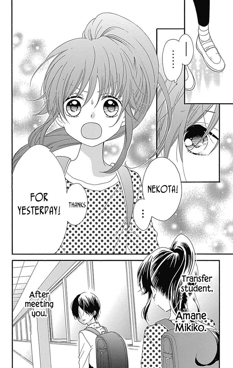 Nekota no Koto ga Ki ni Natte Shikatanai. Chapter 44.5 page 35 - Chapter 44.5 : Extras