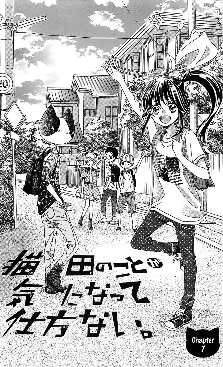 Nekota no Koto ga Ki ni Natte Shikatanai. Chapter 7.2 page 2 - Chapter 7 v2