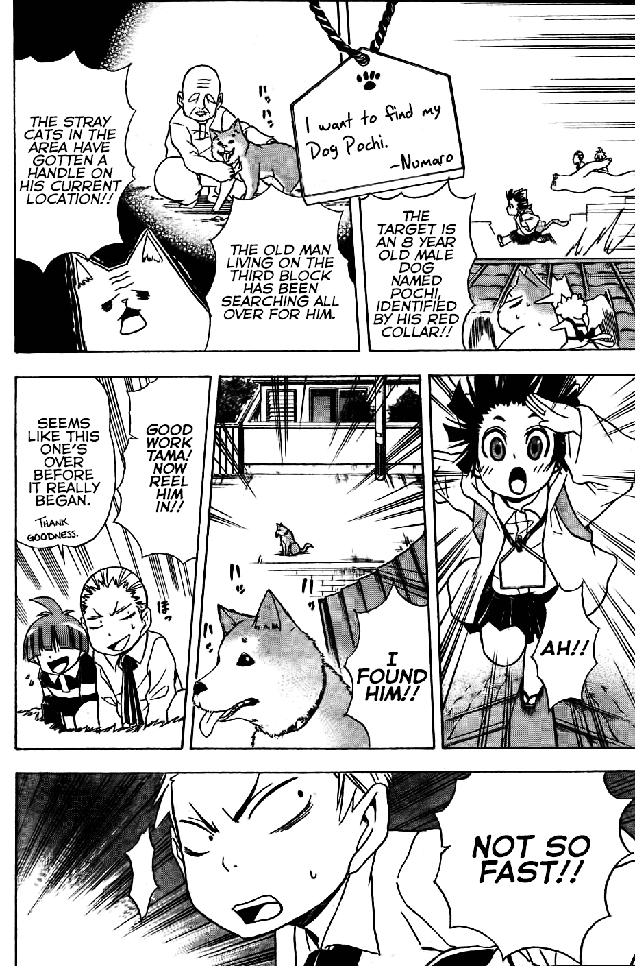 Nekowappa! Chapter 4 page 8 - Chapter 4: Neko Mata Forest Vs. Kitsunebi Mountain!