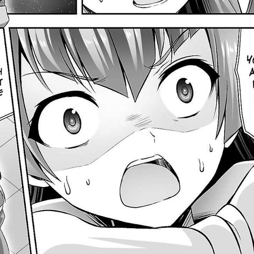 Netoge no Yome wa Onnanoko ja Nai to Omotta? Chapter 24 cover