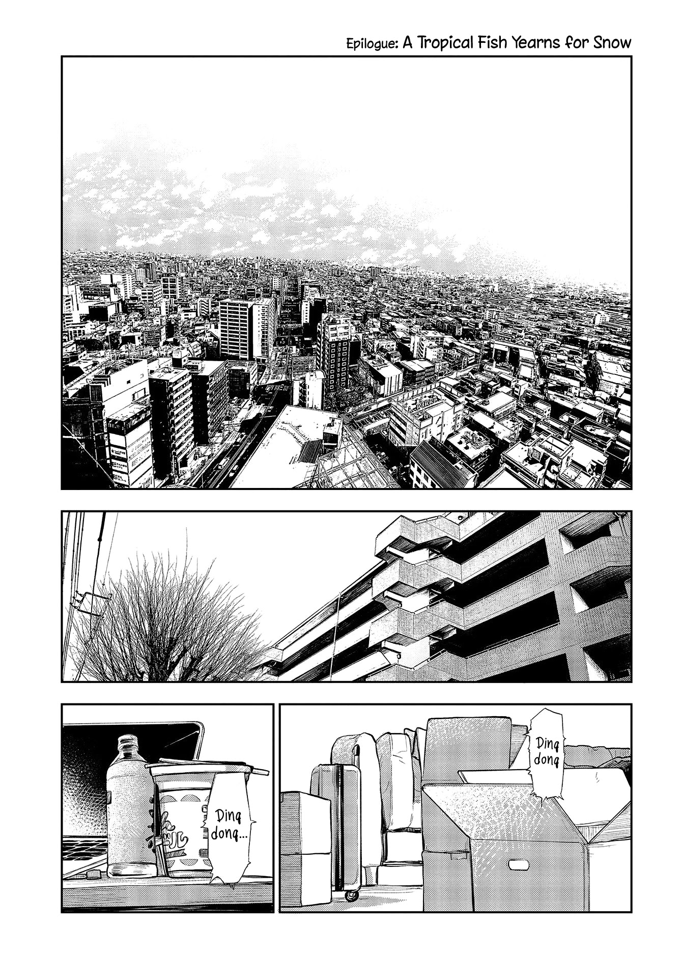 Nettaigyo wa Yuki ni Kogareru Chapter 34 page 1 - Chapter 34: Epilogue: A Tropical Fish Yearns for Snow [END]