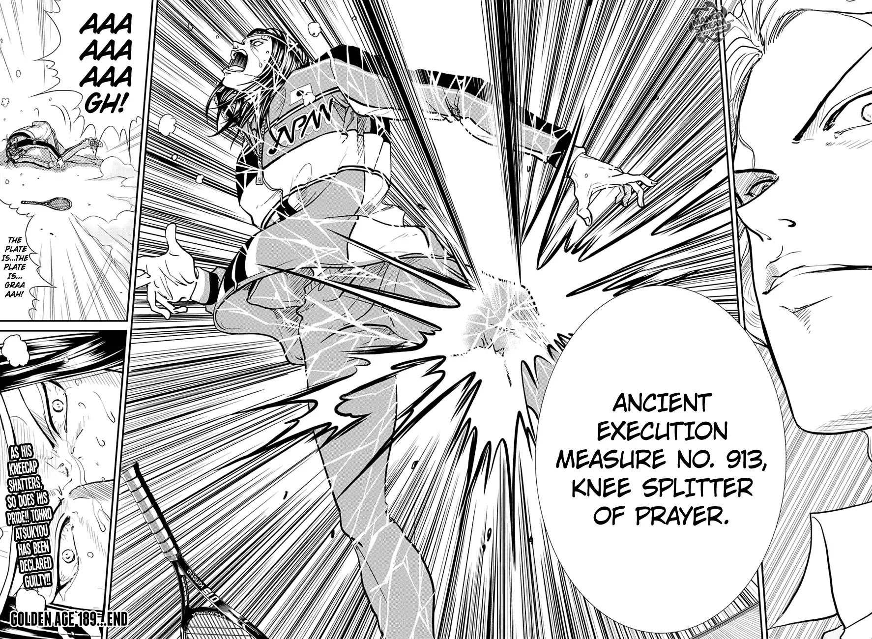 New Prince of Tennis Chapter 189 page 13 - Chapter 189